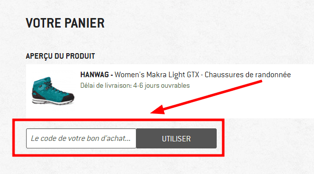 Comment utiliser un code promo sur Alpiniste.fr