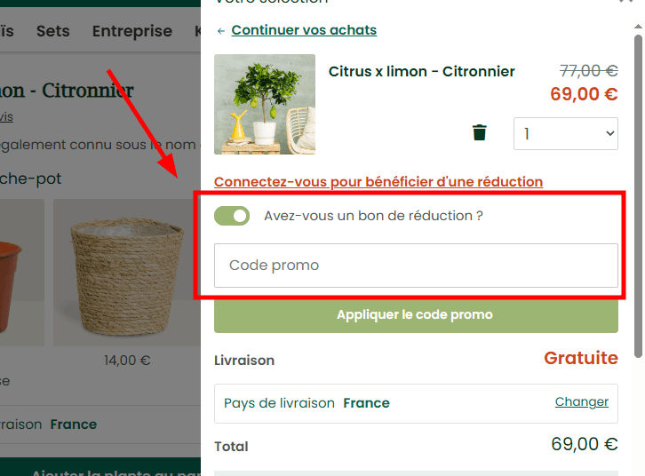 Comment utiliser un code promo sur Be.Green