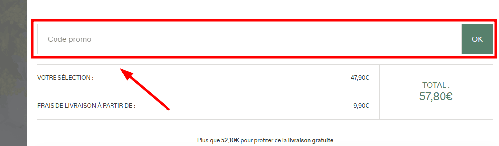 Comment appliquer un code promo sur Bergamotte