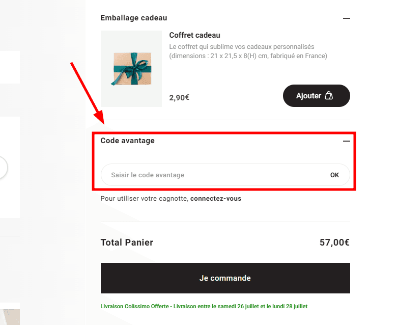 Comment appliquer un code promo sur Dr Pierre Ricaud