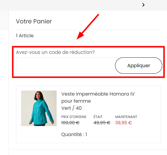 Comment appliquer un code promo sur Regatta
