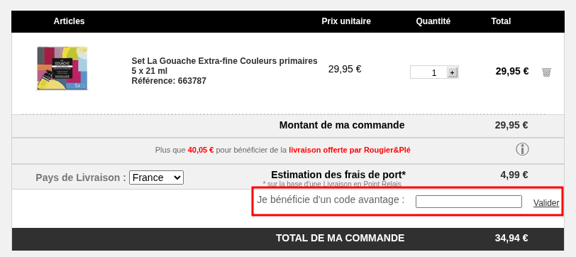 Comment utiliser un code promo sur Rougier et Plé