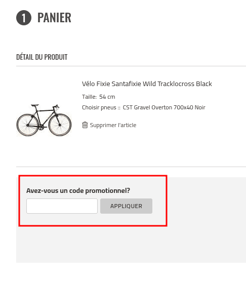 Comment utiliser un code promo sur Santafixie