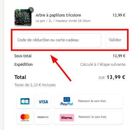 Comment activer un code promo sur Willemse