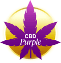 CBD Purple