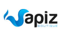 logo Vapiz